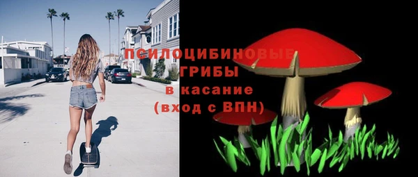 твердый Краснотурьинск
